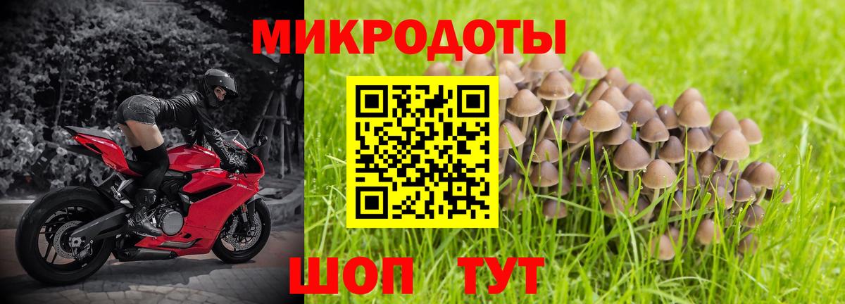 Ачхой-Мартан  Галлюциногенные грибы мухоморы  Вход с VPN 